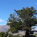 P1000886