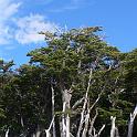 P1000913