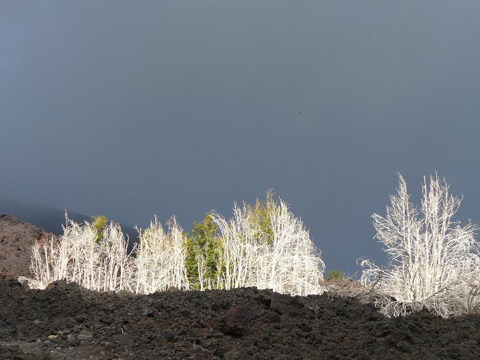 P1030542