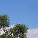 P1030348