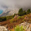 ZIMG_1107_ed