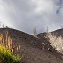 ZIMG_1244_ed