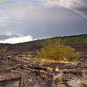 ZIMG_1272_ed