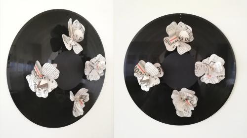 2020 : Fleurs de canard