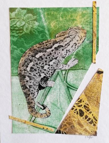2022 : Caméléon néophyte
