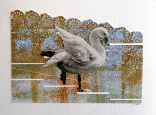 2022 : Cygne sauteur