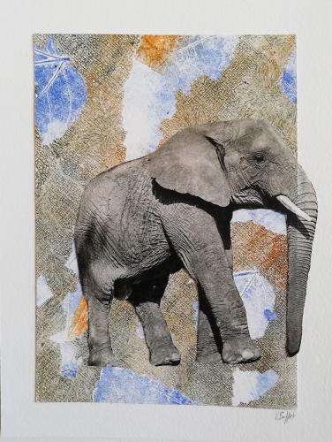 2022 : Eléphant réfractaire