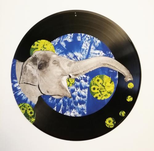 2024 Eléphant dégonflé