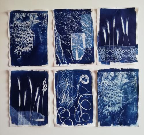 2024 : cyanotypes