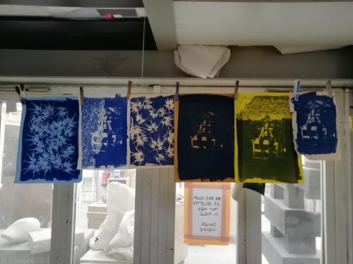 2024 : cyanotypes