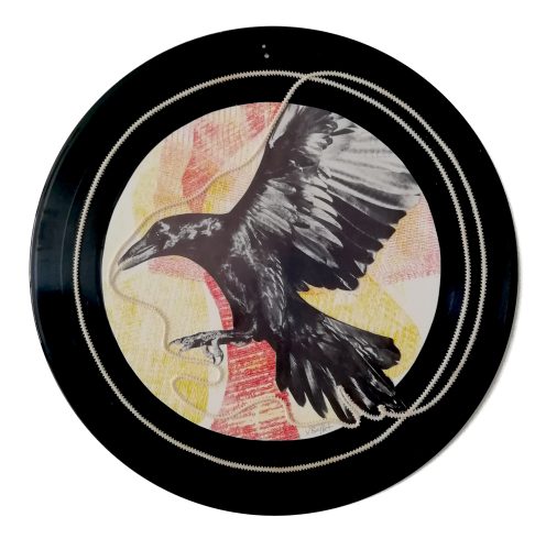 2026 : Corbeau bridé