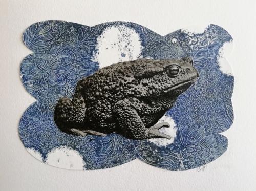 Bestiaire : Crapaud sentimental