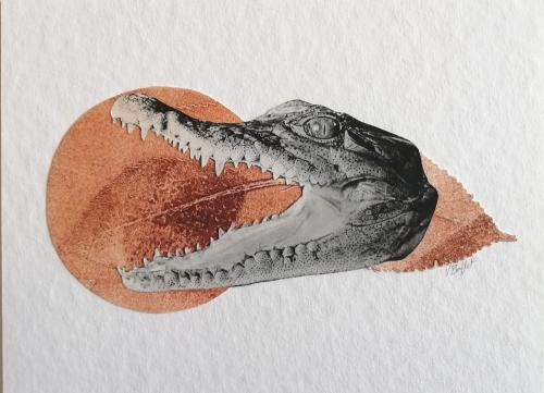 2021 : Crocodile hilarant