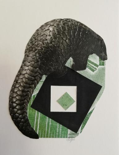 2021 : Pangolin discipliné