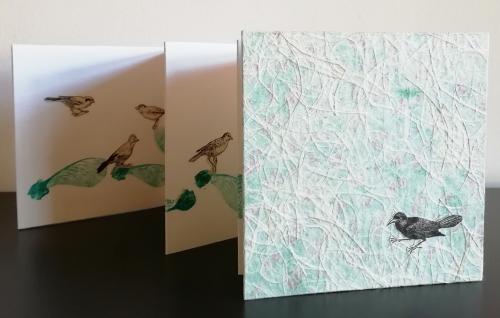 2023 : Chant des oiseaux