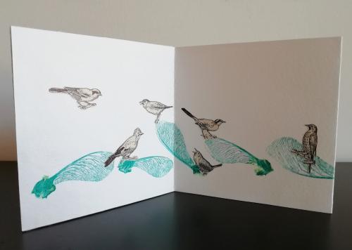 2023 : Chant des oiseaux