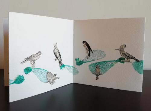 2023 : Chant des oiseaux