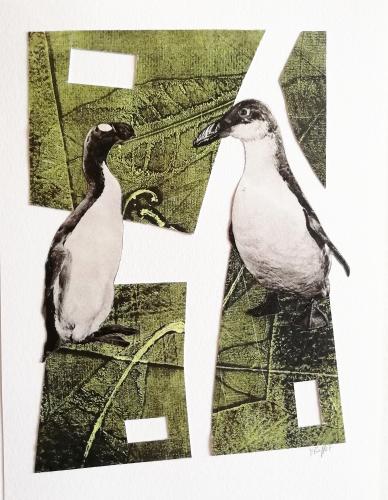 2022 : Pingouins interloqués