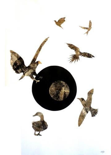 2019 : Disparition des oiseaux