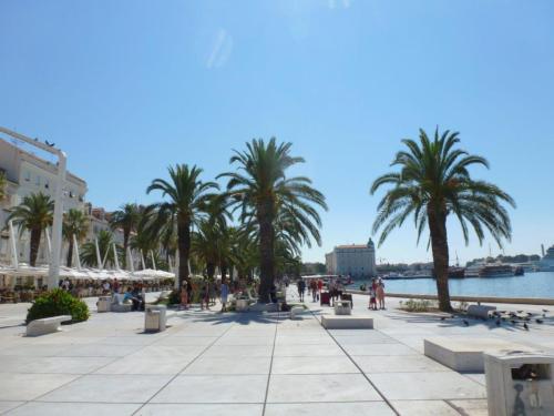 J1 : Split
