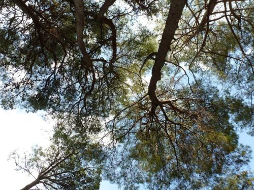J2 : Parc national de Krka