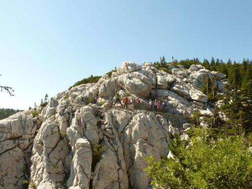 J6 : Parc National de Velebit Nord