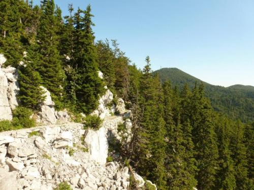 J6 : Parc National de Velebit Nord