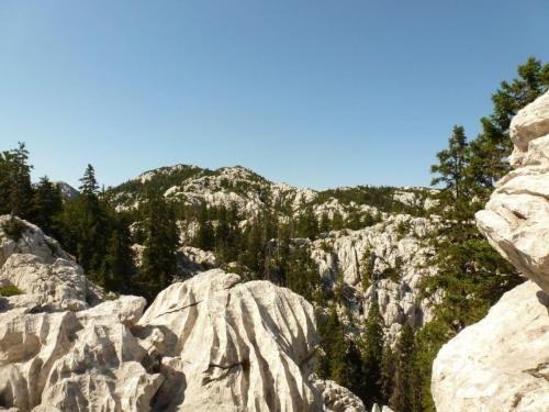 J6 : Parc National de Velebit Nord