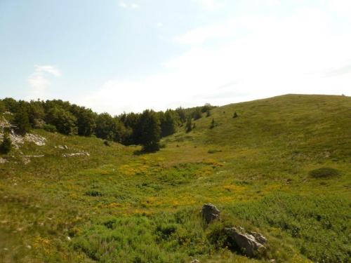J6 : Parc National de Velebit Nord
