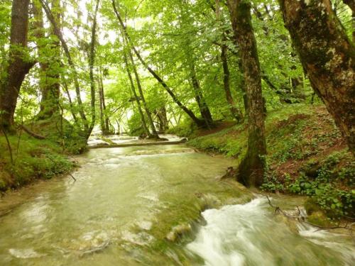 J7 : Parc National de Plitvice