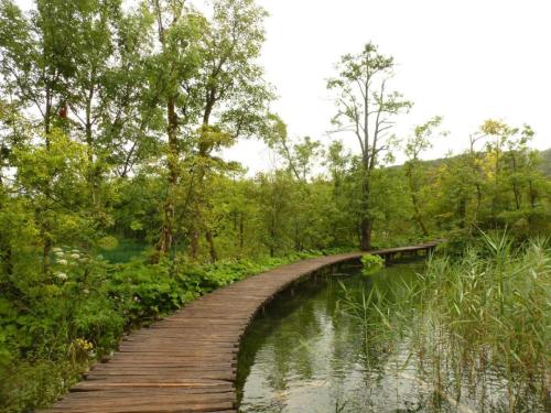 J7 : Parc National de Plitvice