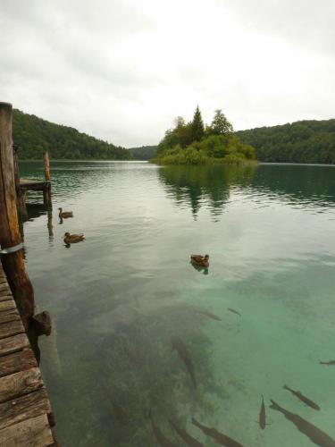 J7 : Parc National de Plitvice