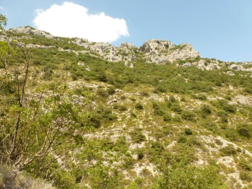 J9 : Ile de Braç