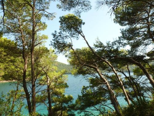 J11 : Ile de Mljet