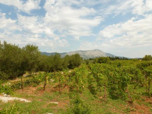 J12 : Ile de Korcula