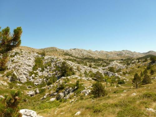 J14 : Parc National de Biokovo